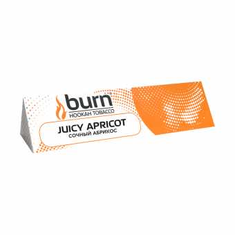 Табак для кальяна BURN 25г - Juicy Apricot (Спелый абрикос)