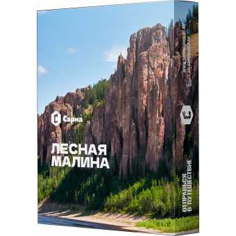 Табак для кальяна САРМА 25гр - Лесная малина