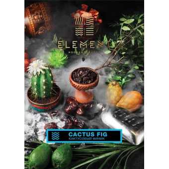 Табак для кальяна "Элемент" Вода - Cactus Fig (Кактусовый Финик) 40гр
