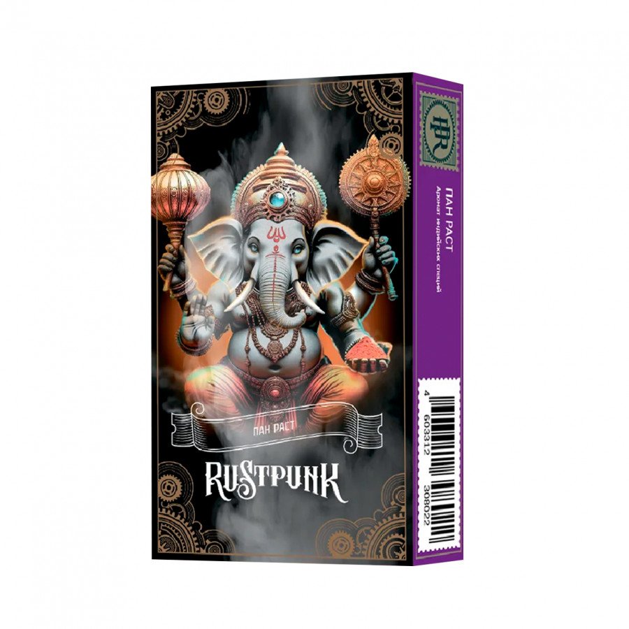 Фото и внешний вид — Табак для кальяна RUSTPUNK 40г - Пан раст (с ароматом индийских специй)