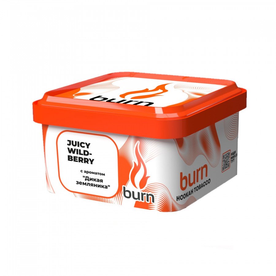 Фото и внешний вид — Табак для кальяна BURN 200г - Juicy Wildberry (Дикая земляника)