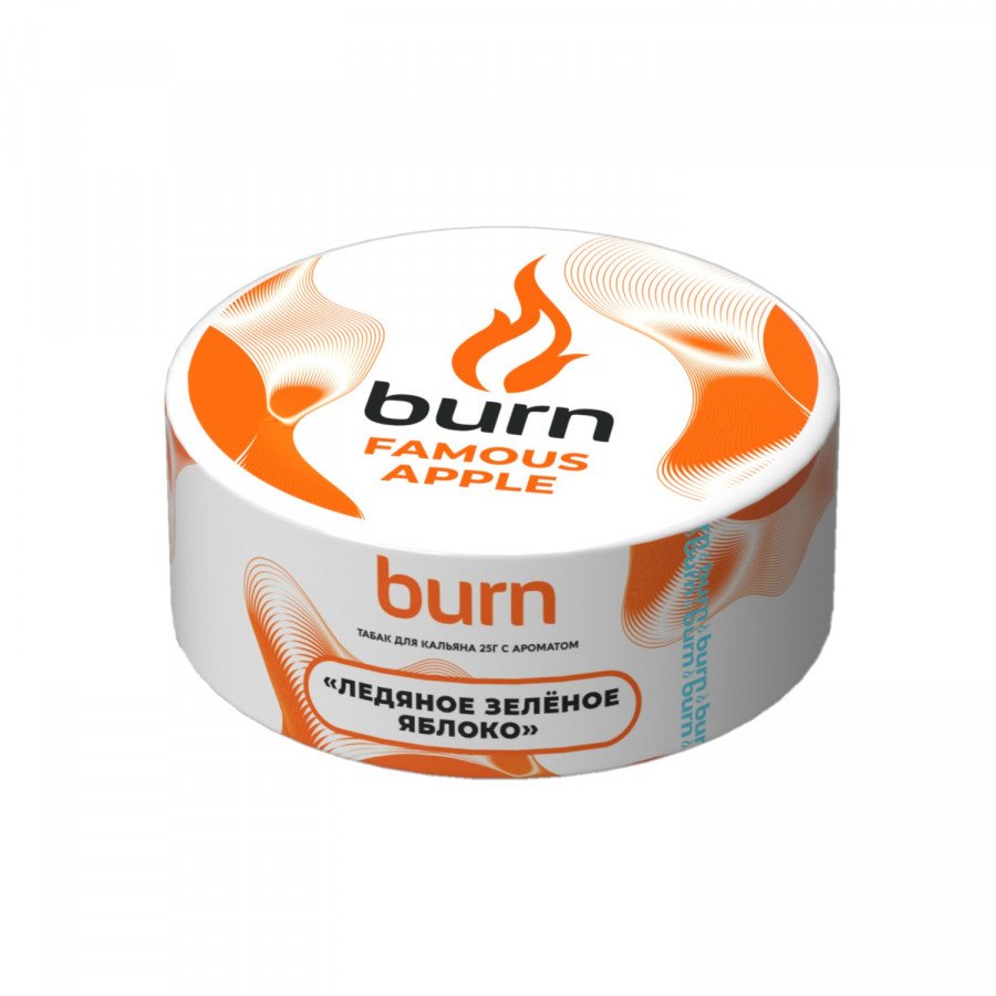 Фото и внешний вид — Табак для кальяна BURN 25г - Famous Apple (Ледяное зеленое яблоко)
