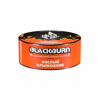 Табак для кальяна BLACK BURN 25г - Кислый Крыжовник