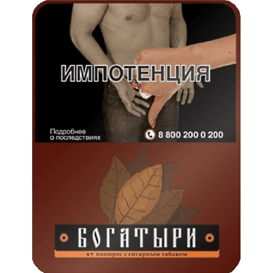 Фото и внешний вид — Папиросы Богатыри (с сигарным табаком)